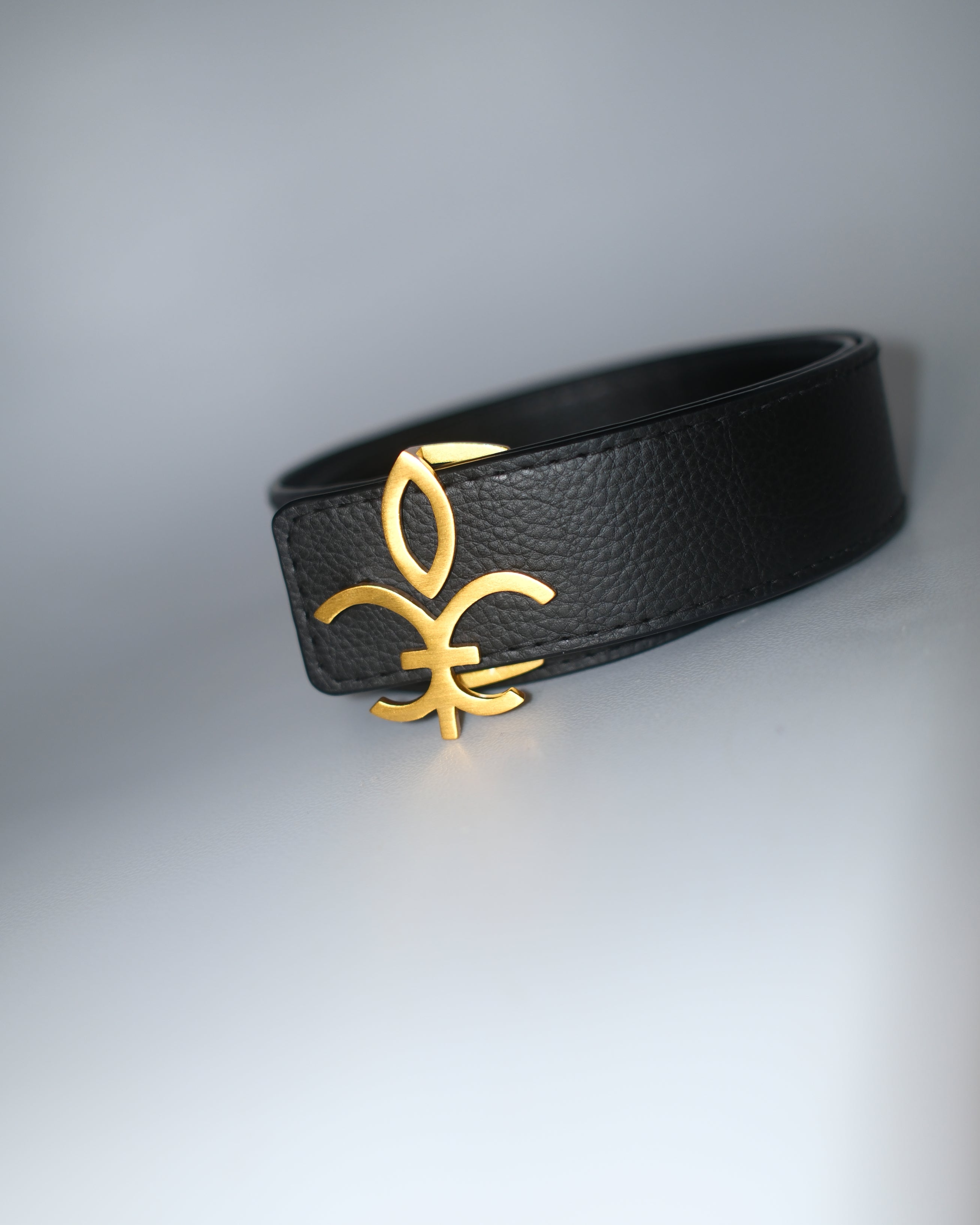 NO. XI Roma | 38mm Reversible Belt